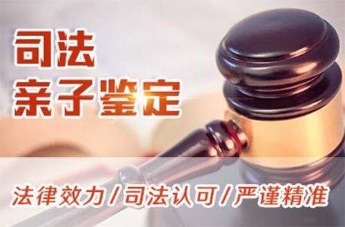 石家庄司法DNA亲子鉴定如何做,石家庄司法DNA鉴定收费标准